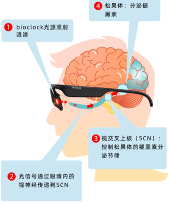 BioClock 二代智能睡眠儀 用科技重定義你的夜晚